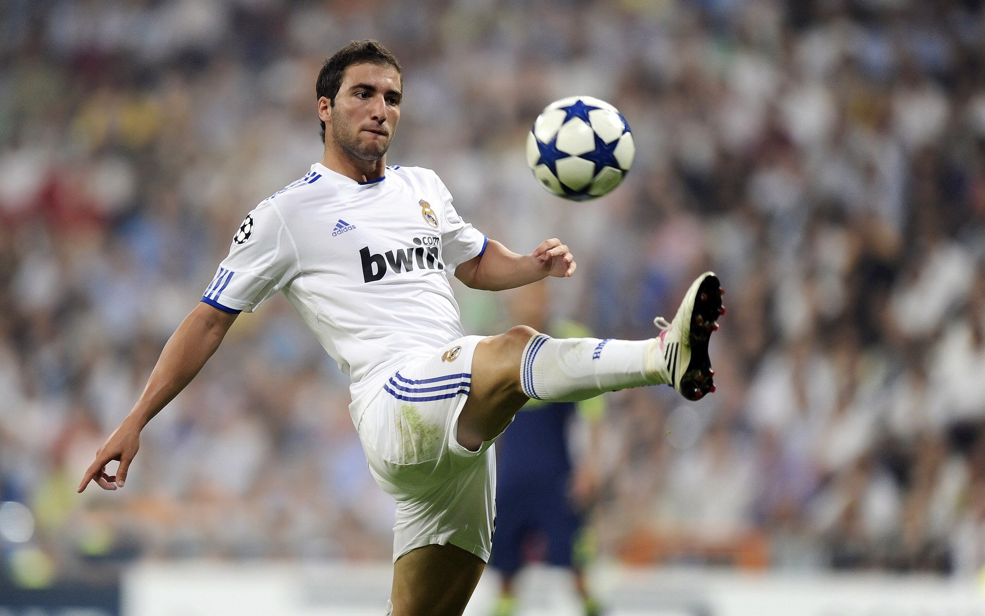 凯恩彻底打爆防线,波兰淘汰赛过关冰岛